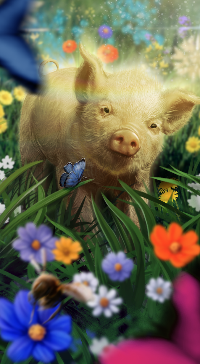 Put the Pig