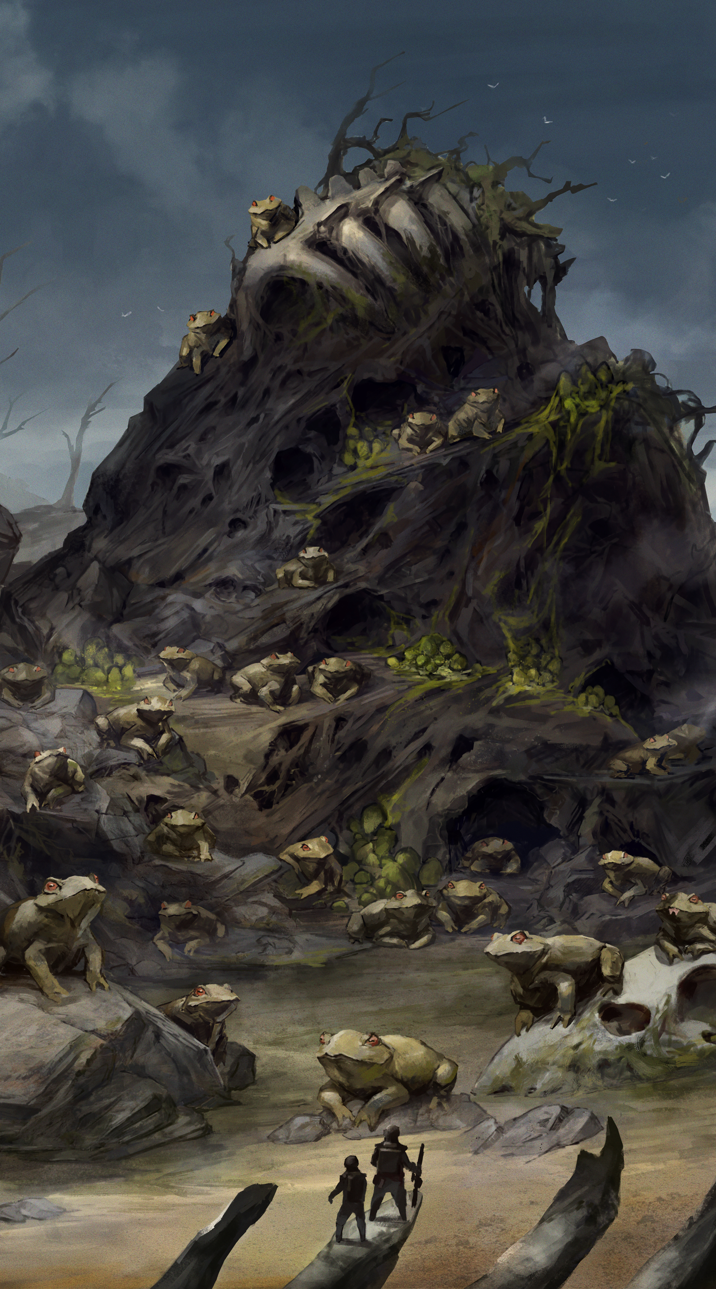 Toad Nest
